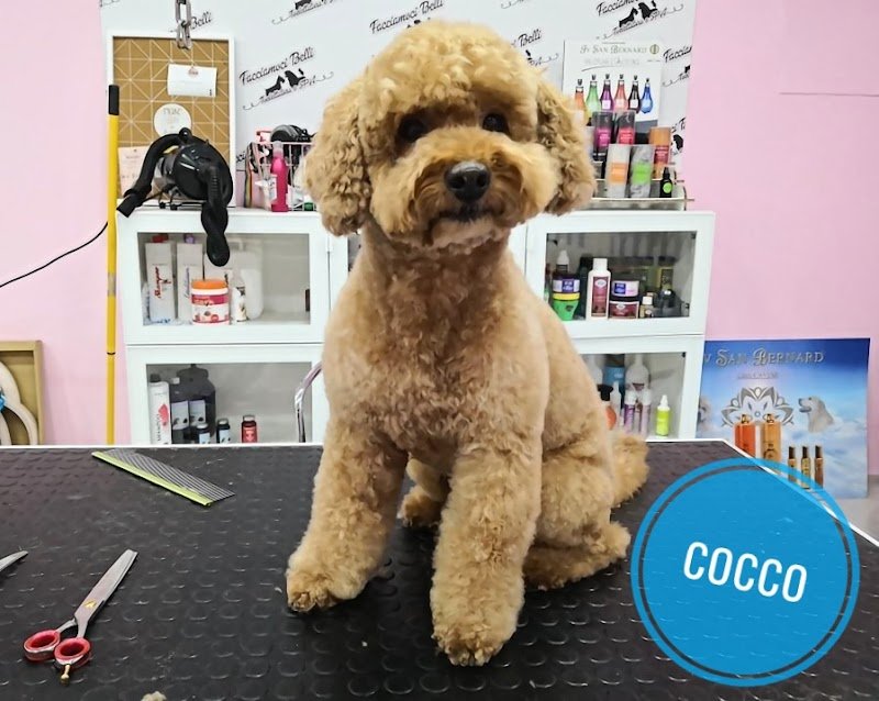 Facciamoci Belli - Foto 4