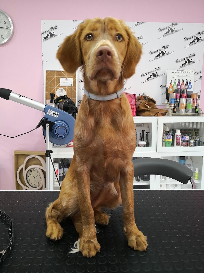 Facciamoci Belli - Foto 5