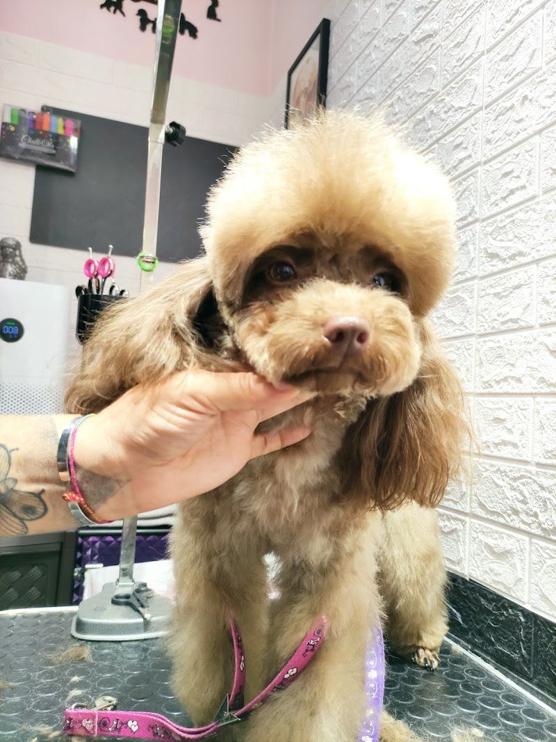 FACCIAMOCIBELLI di Melandri Vanessa - Foto 1