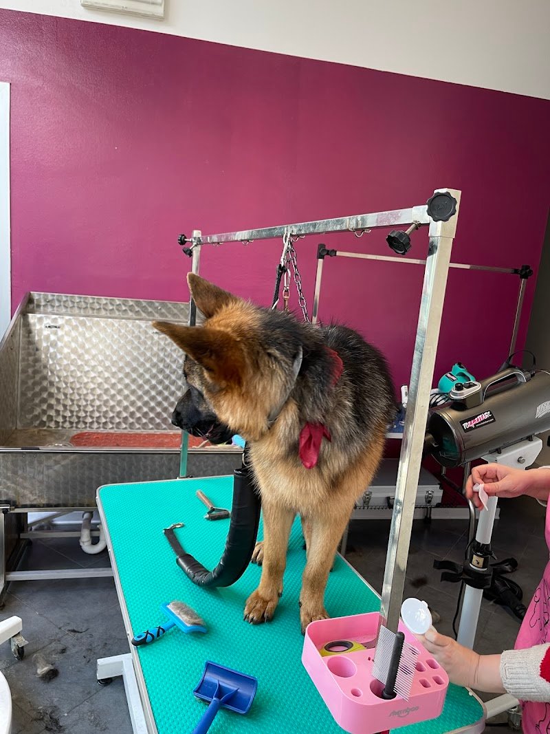 FACCIAMOCIBELLI di Melandri Vanessa - Foto 2