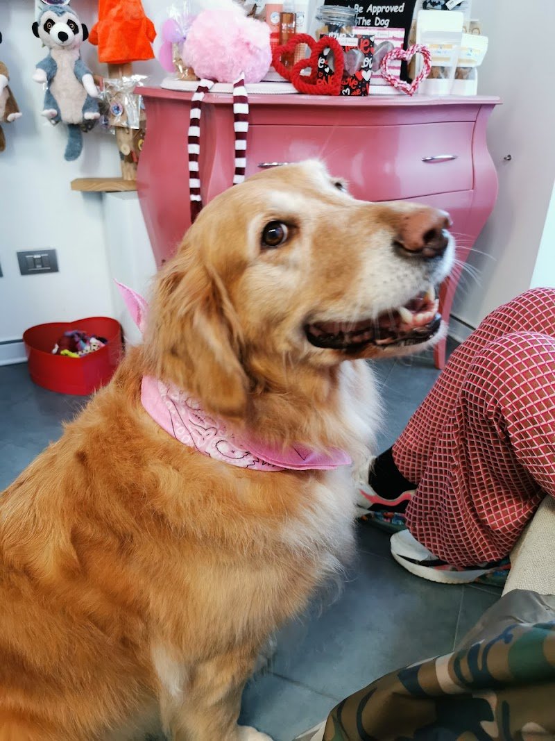 FACCIAMOCIBELLI di Melandri Vanessa - Foto 3