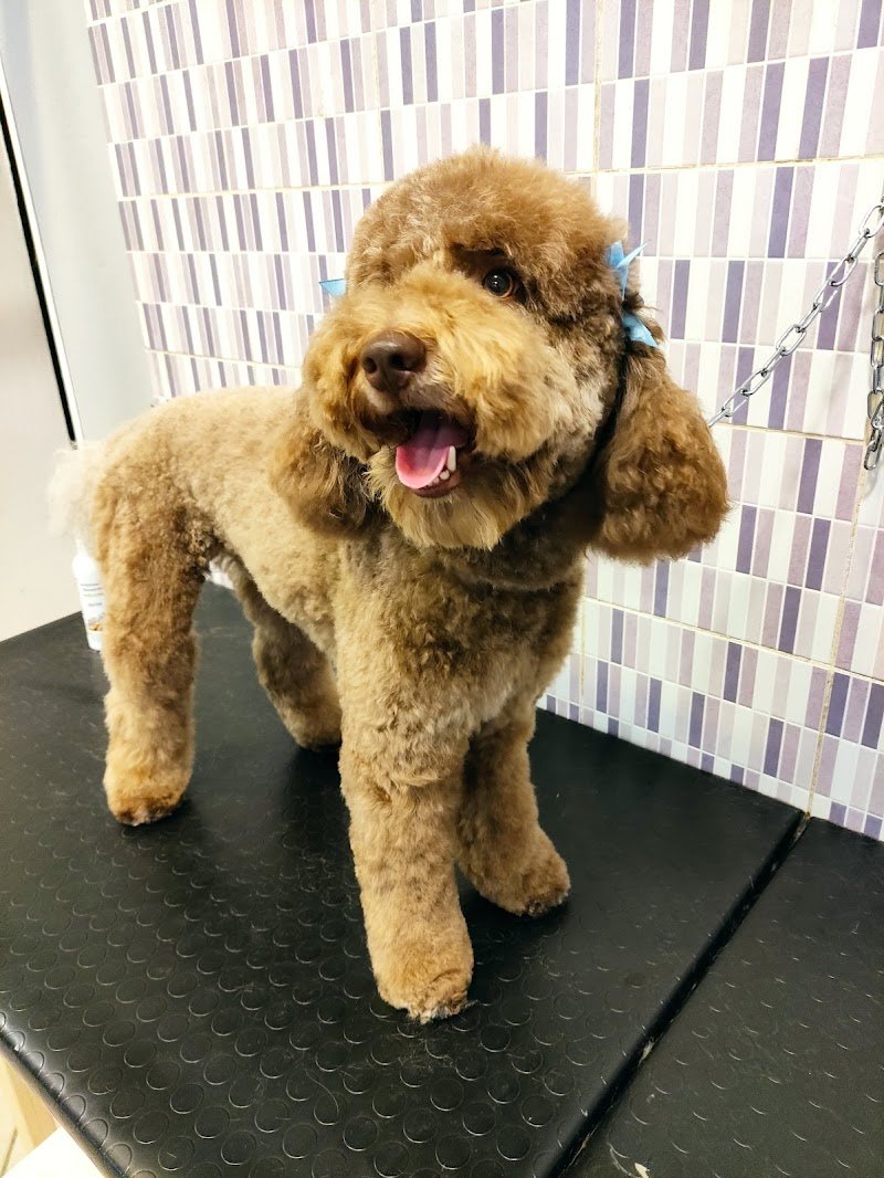 FACCIAMOCIBELLI di Melandri Vanessa - Foto 5