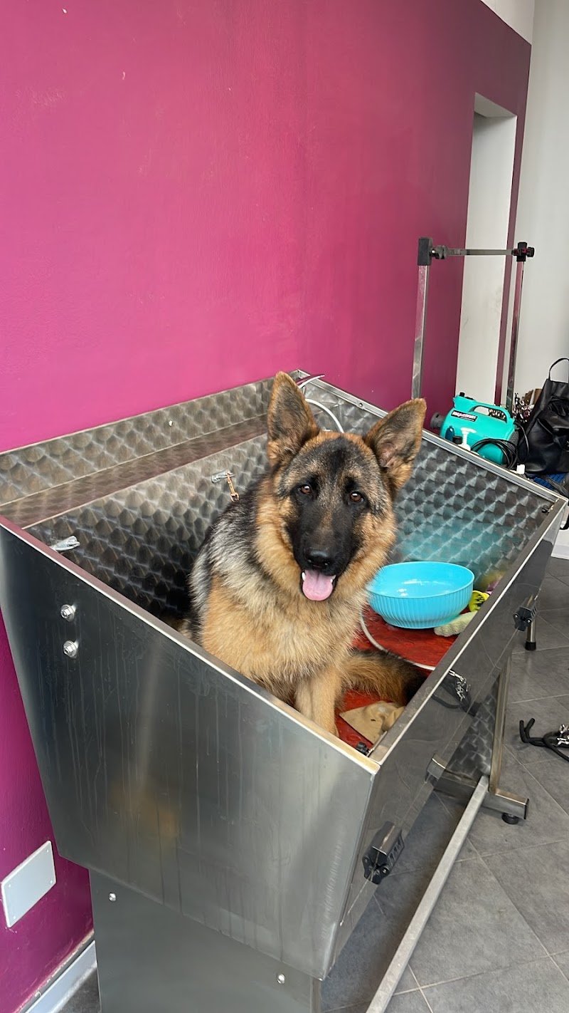 FACCIAMOCIBELLI di Melandri Vanessa - Foto 6