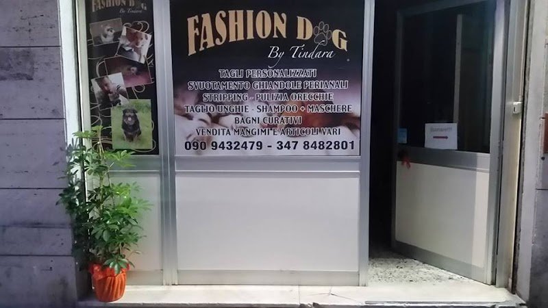 Fashion Dog di Tindara Frignano - Foto 1