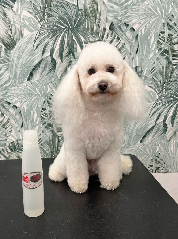 Fashion Dog Ripamonti toelette per cani - Foto 1