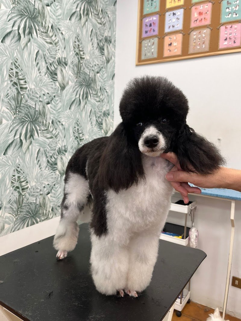 Fashion Dog Ripamonti toelette per cani - Foto 2