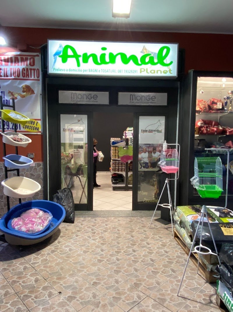 Fashion Vanity Spa Dog - Foto 6