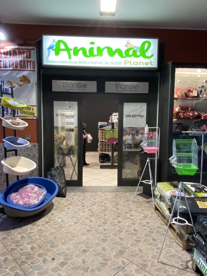 Fashion Vanity Spa Dog - Foto 1