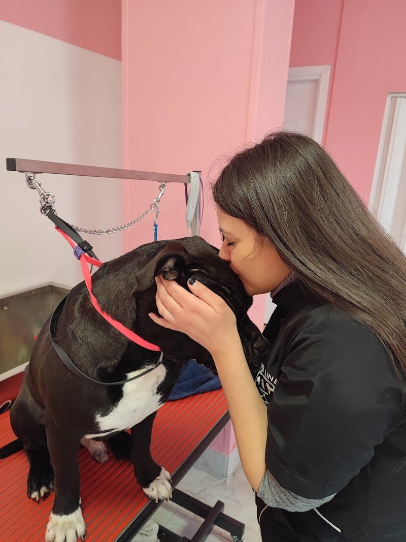 Federica's Groomer Shop di Oliva Federica - Foto 4