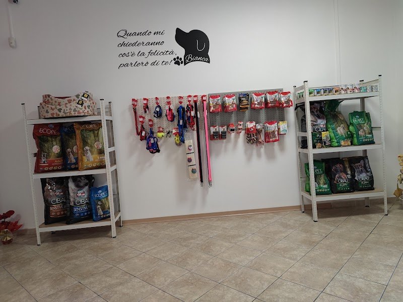 Federica's Groomer Shop di Oliva Federica - Foto 5