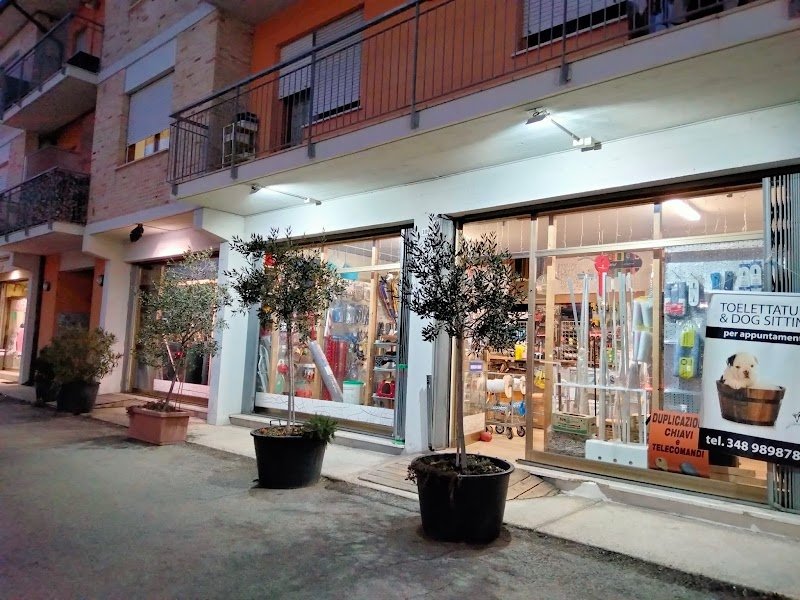 Ferramenta e toelettatura Punto Casa - Foto 1