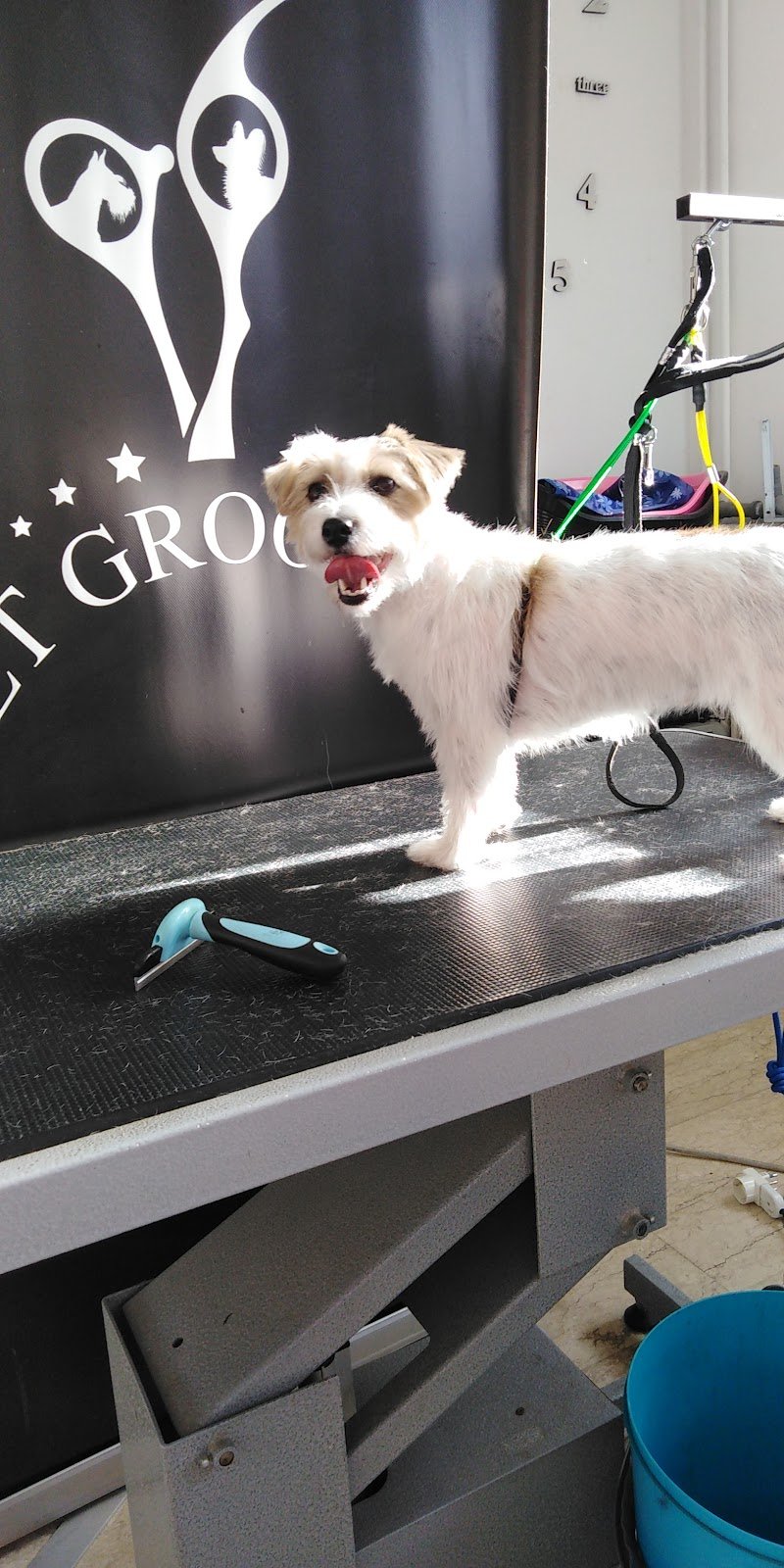 Ferramenta e toelettatura Punto Casa - Foto 4