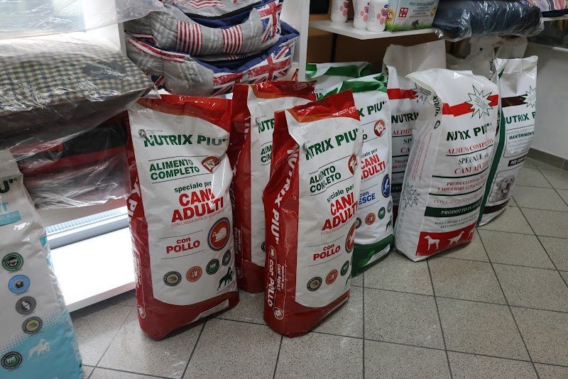 Fido & Company - Foto 2