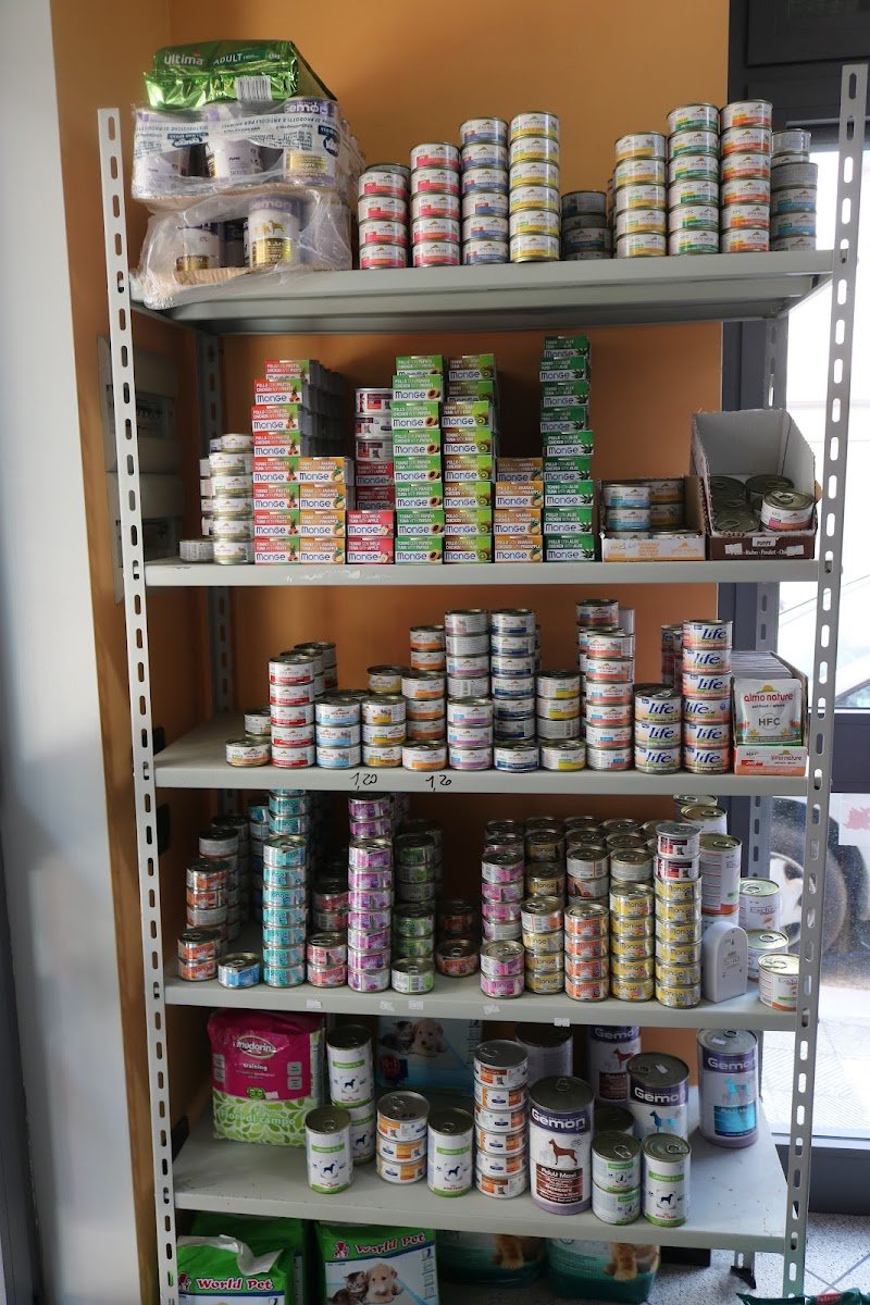 Fido & Company - Foto 6