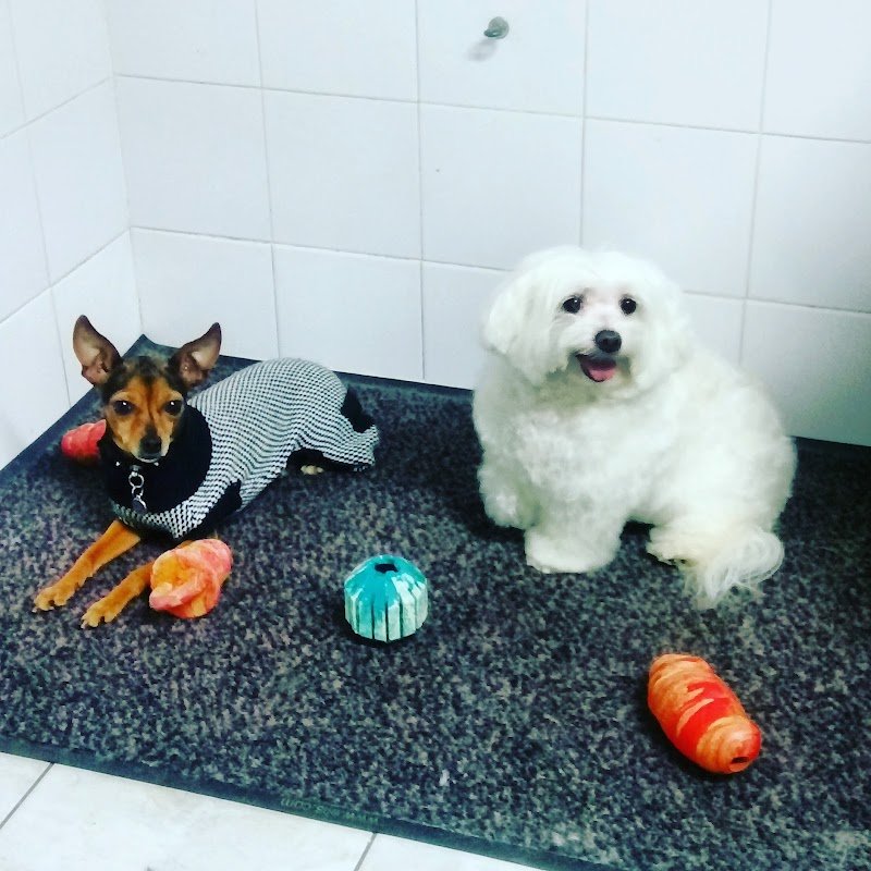 fido pet shop milano - Foto 6