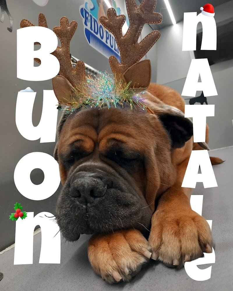 Fido Pulito Mobile - Foto 6