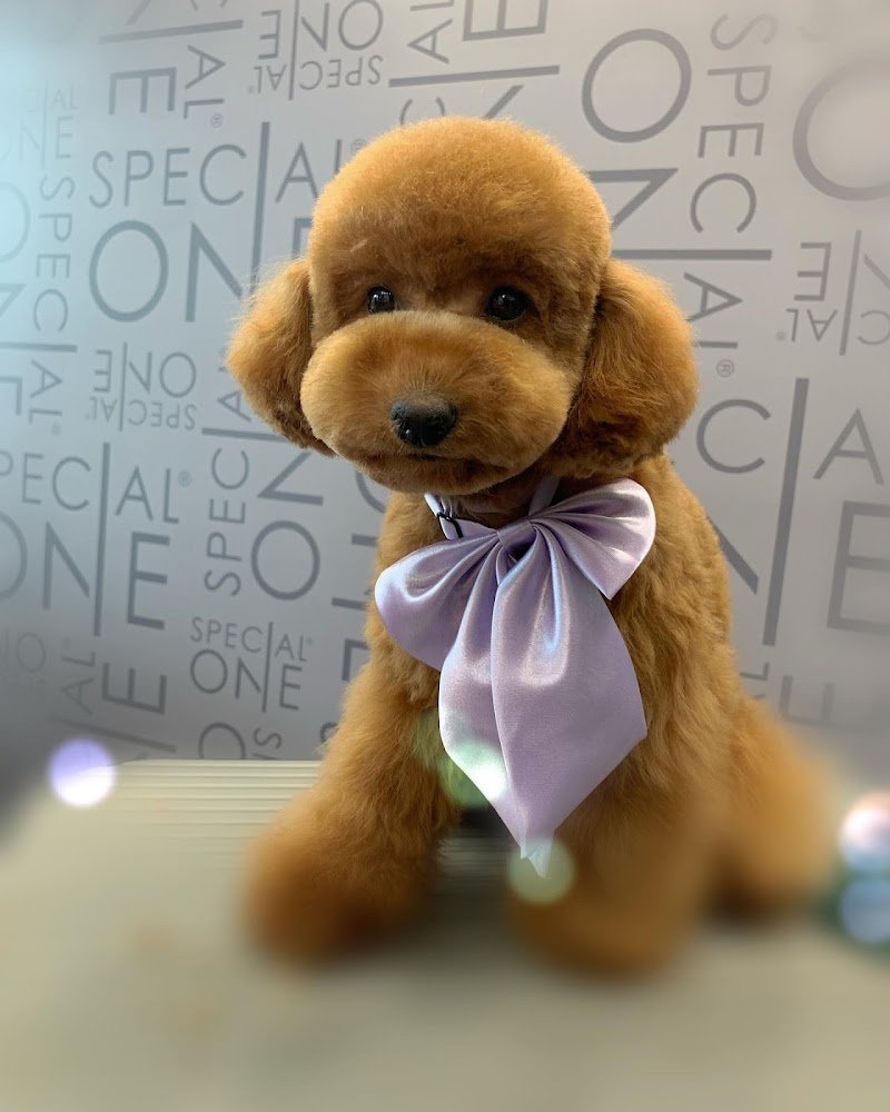 Fidomania by Calu' - Foto 1