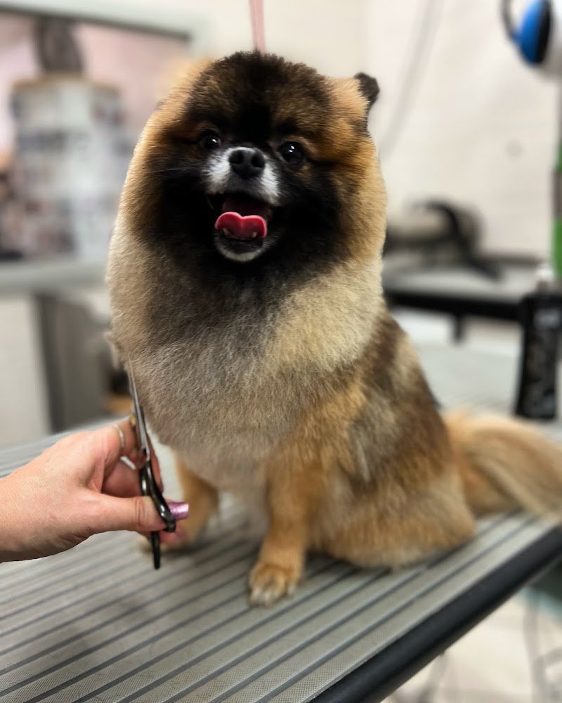 Fidomania by Calu' - Foto 2