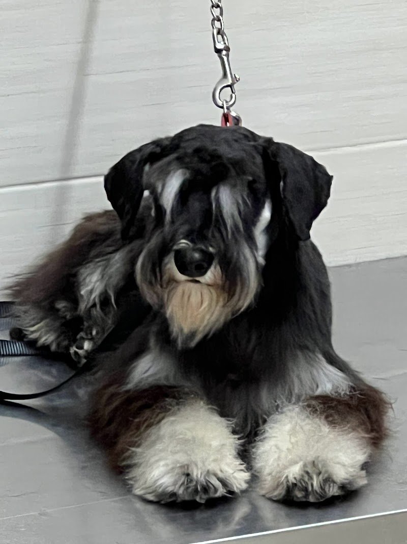 Fidomania by Calu' - Foto 3