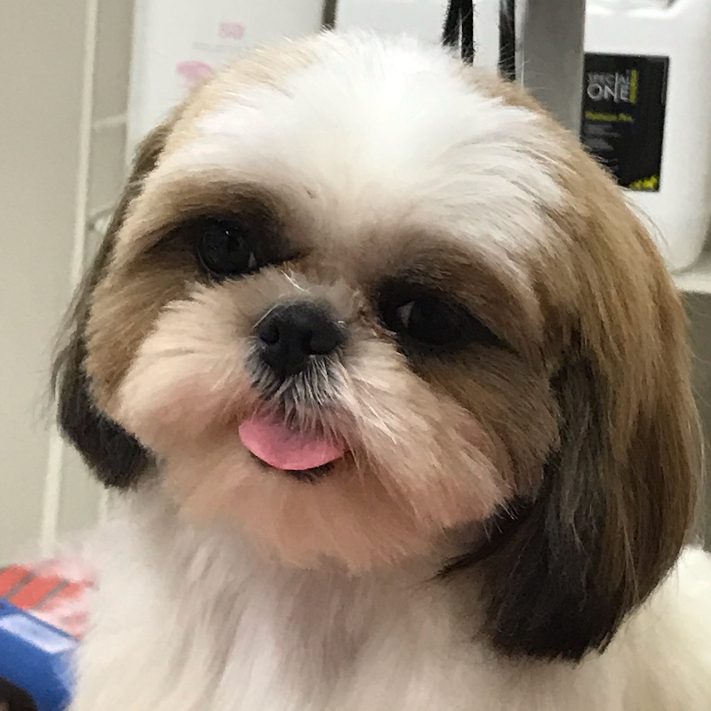 Fidomania by Calu' - Foto 4