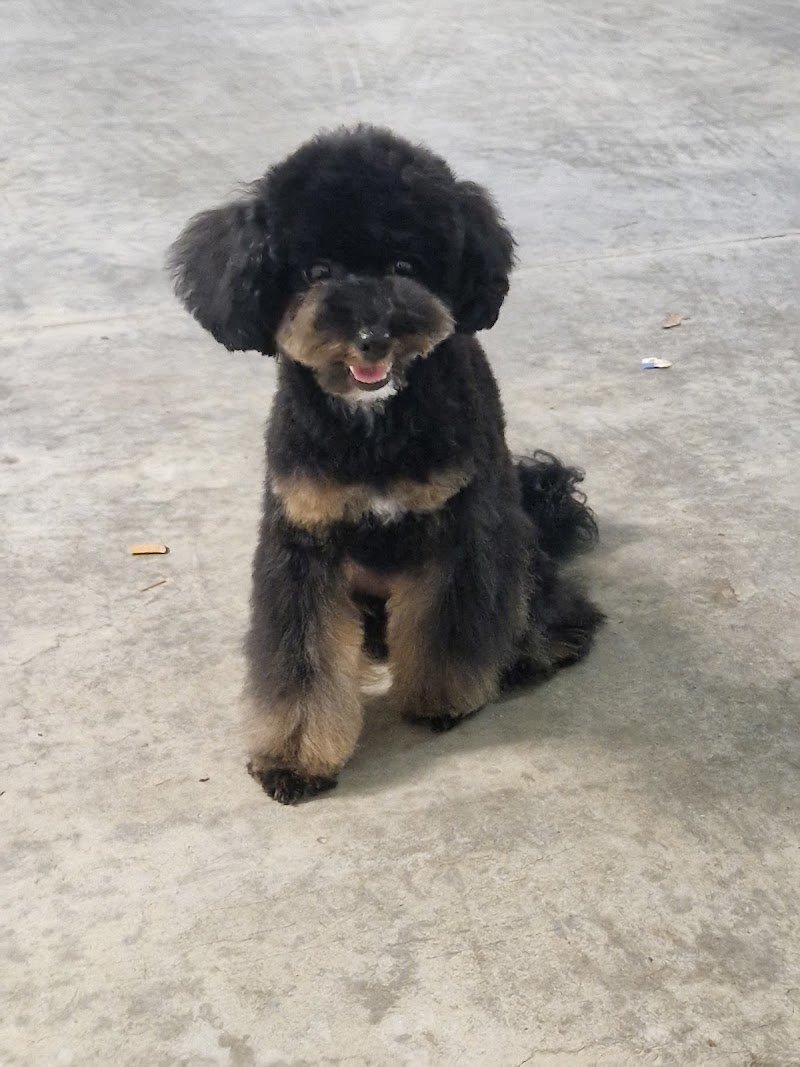 Fidomania by Calu' - Foto 5