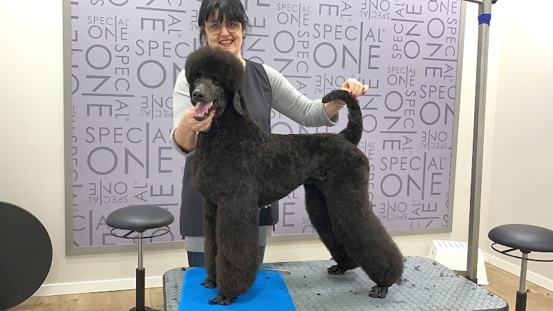 Fidomania by Calu' - Foto 6