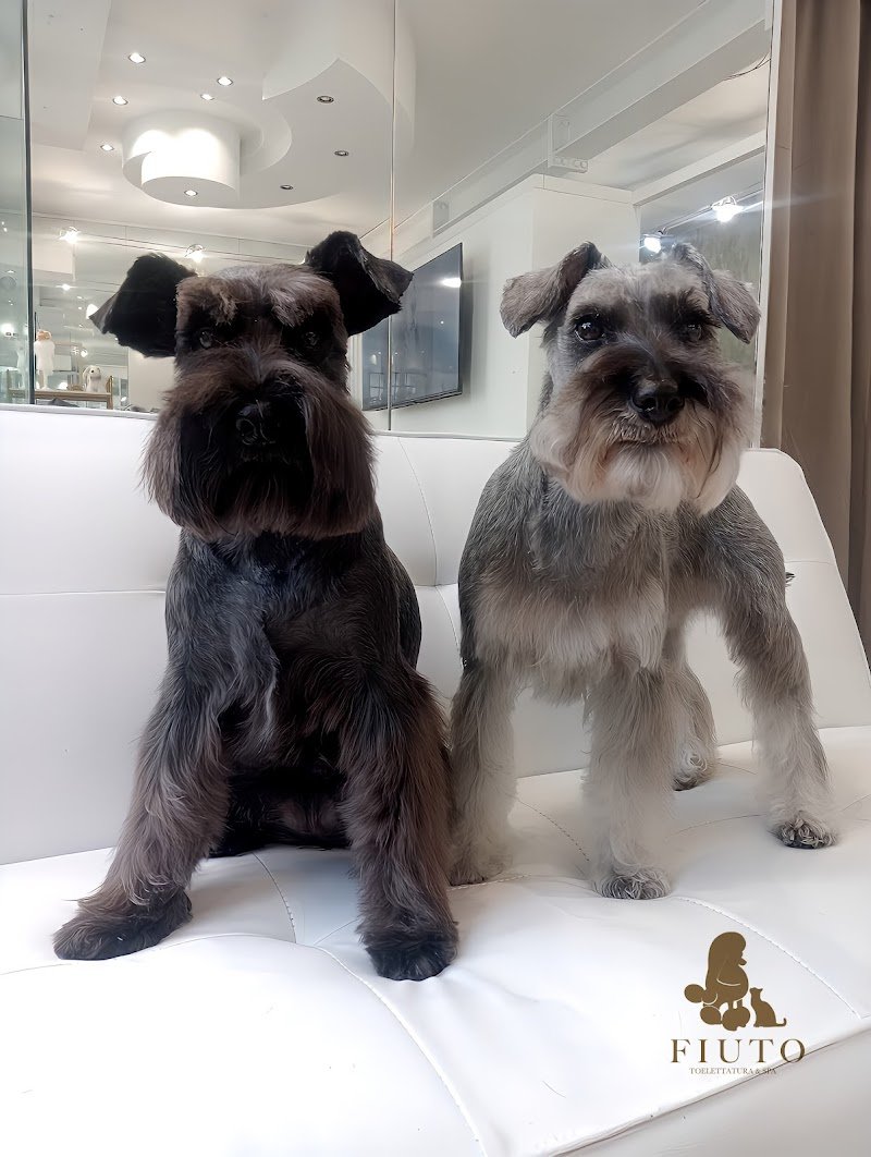 FIUTO Toelettatura & Spa - Foto 4