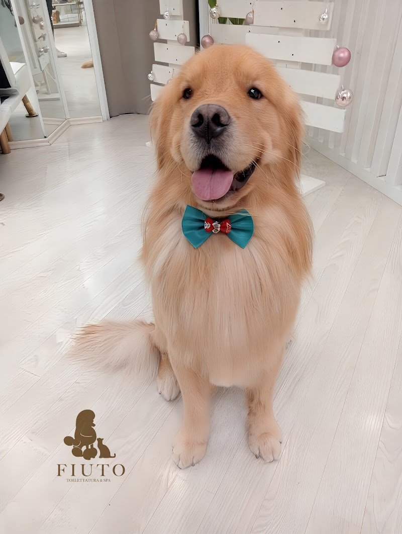 FIUTO Toelettatura & Spa - Foto 5