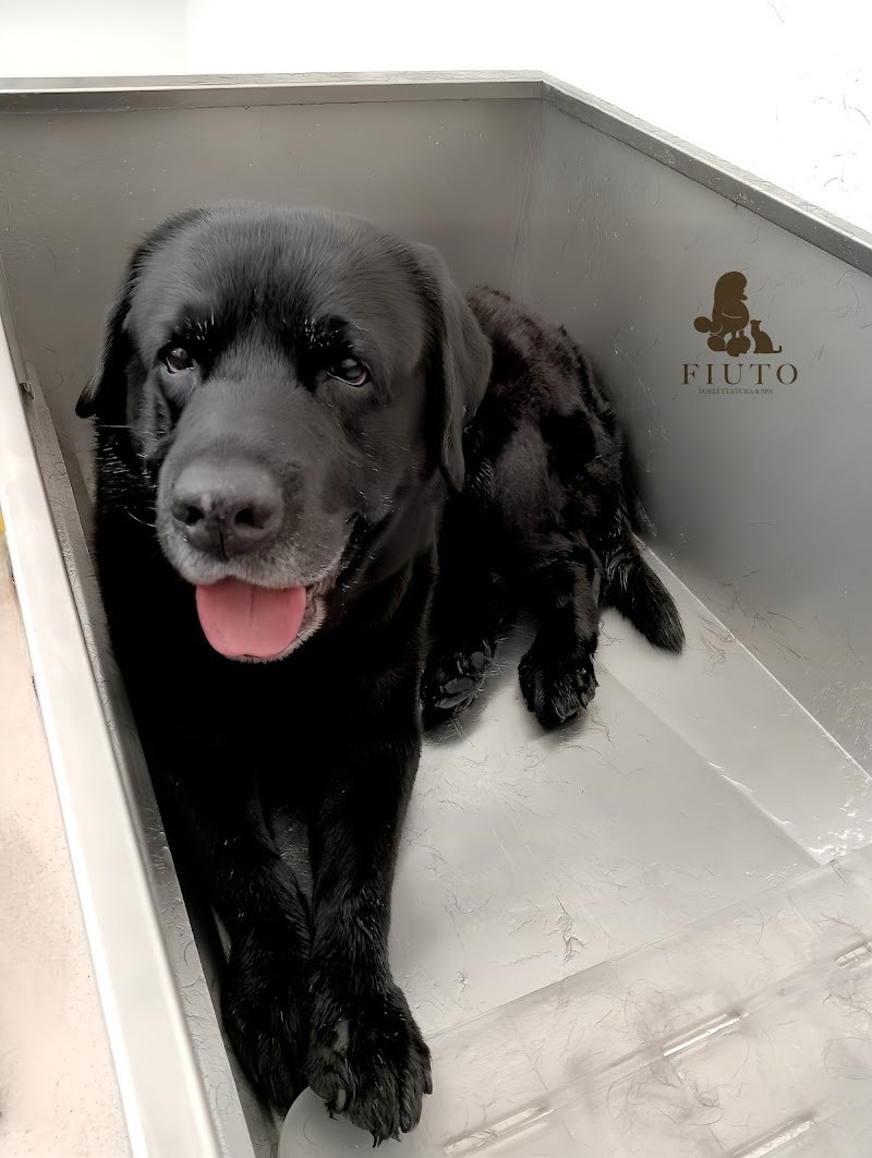 FIUTO Toelettatura & Spa - Foto 6