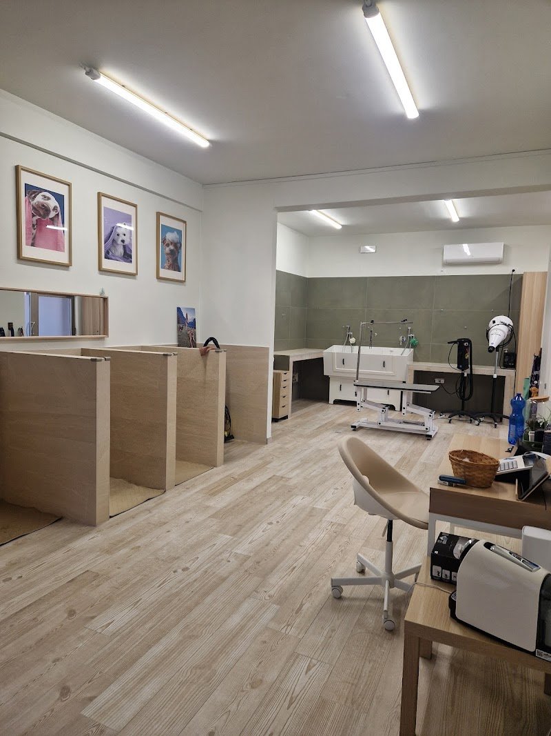 Fluffy Friends di Giovanna Armillotta - Foto 4