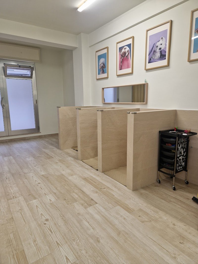 Fluffy Friends di Giovanna Armillotta - Foto 6