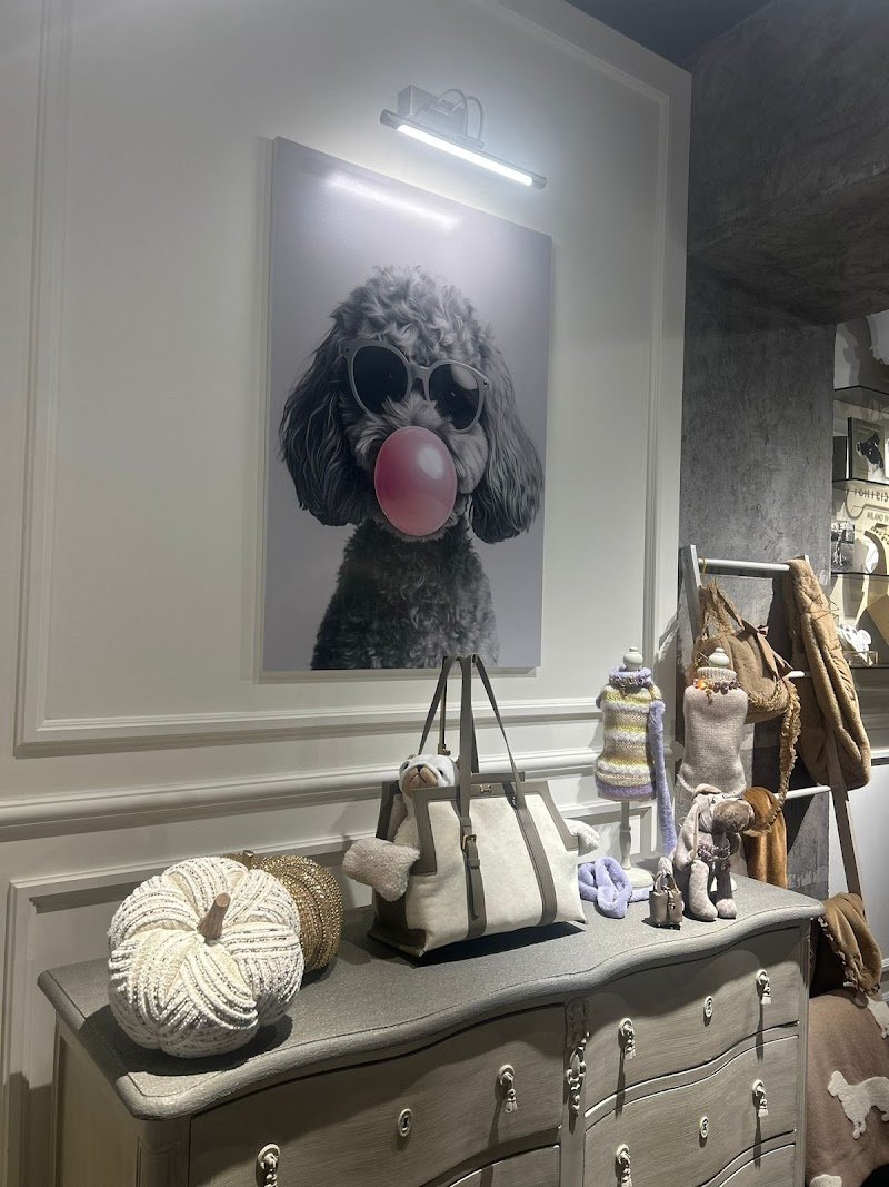 For Pets Only Boutique & Spa Como - Foto 6