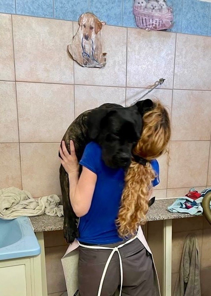 Francesca Toelette per cani e gatti - Foto 3