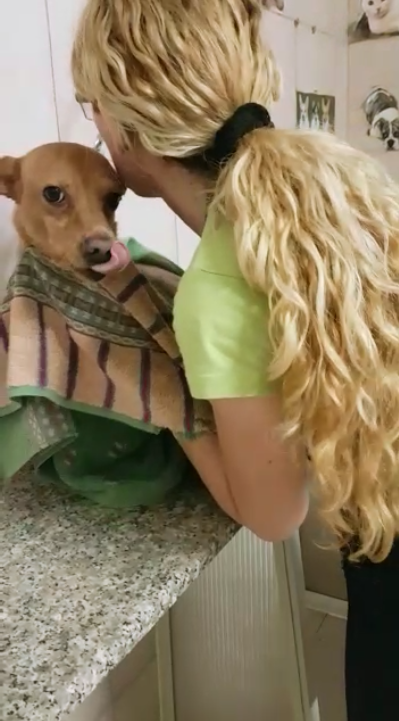 Francesca Toelette per cani e gatti - Foto 6