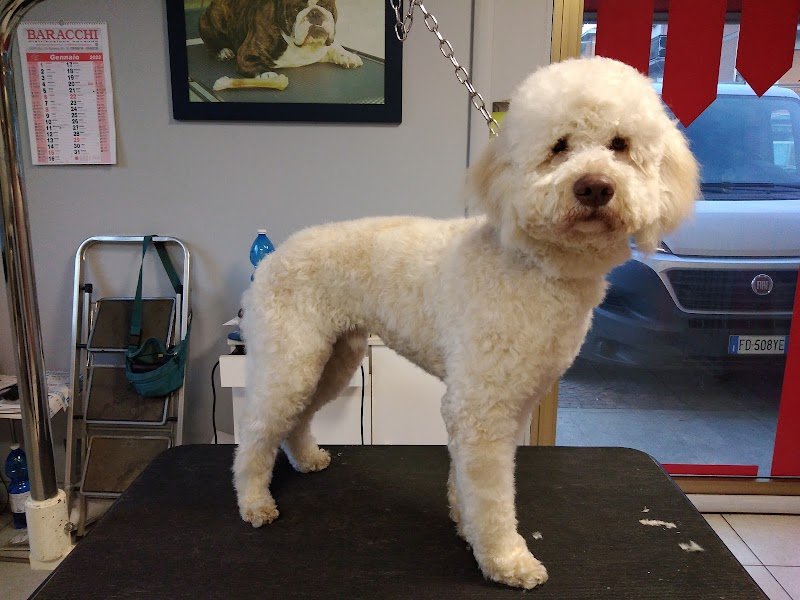 Franciosi Anna - Foto 1