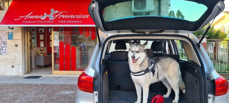 Franciosi Anna - Foto 3