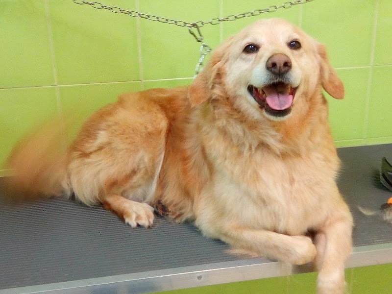 Franciosi Anna - Foto 4