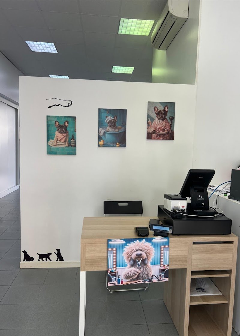 Fresh Dog Faenza - Foto 3