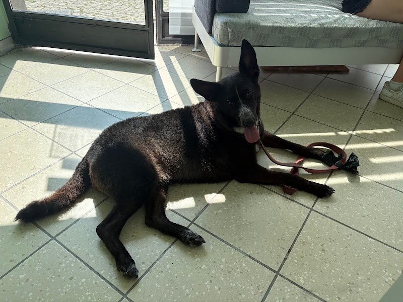 Friendly Grooming Studio - Foto 1