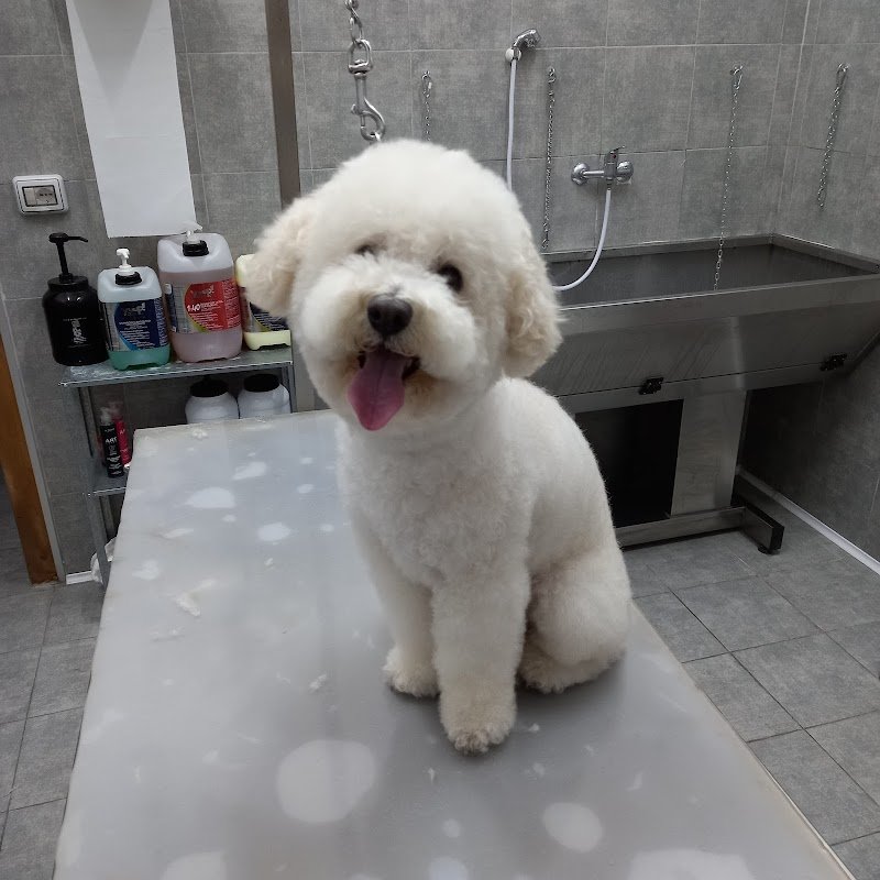 FUFOS Toelettatura & Accessori - Foto 1