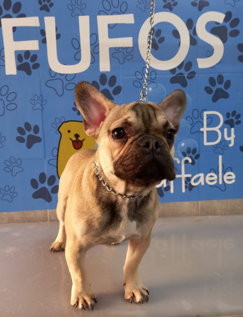 FUFOS Toelettatura & Accessori - Foto 3