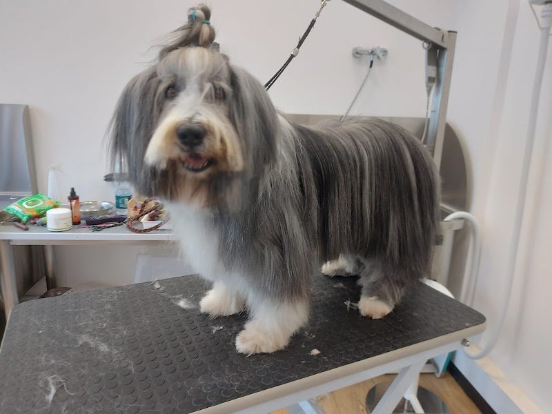 Genova Vet Beauty and Pharma - Foto 2