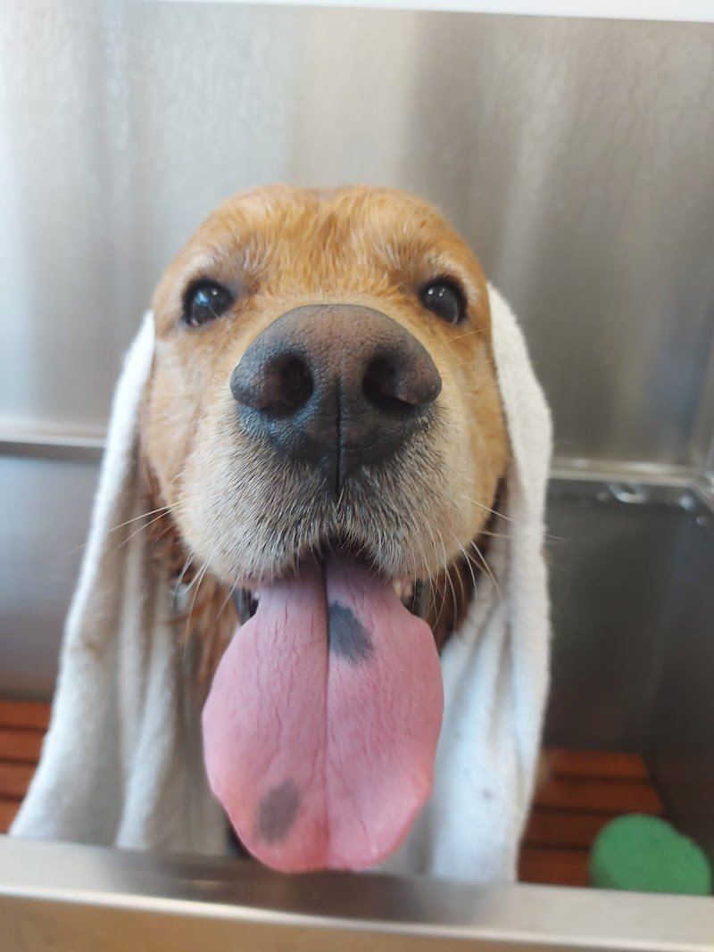 Genova Vet Beauty and Pharma - Foto 4