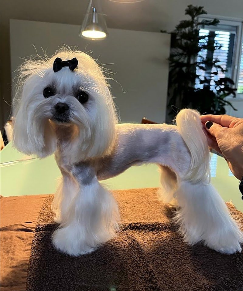 Ginetta E Beatrice S.A.S. Di Beatrice Orsatti - Foto 1