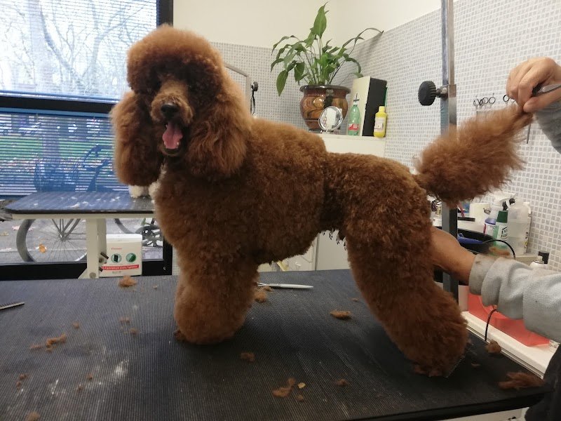 Ginetta E Beatrice S.A.S. Di Beatrice Orsatti - Foto 2