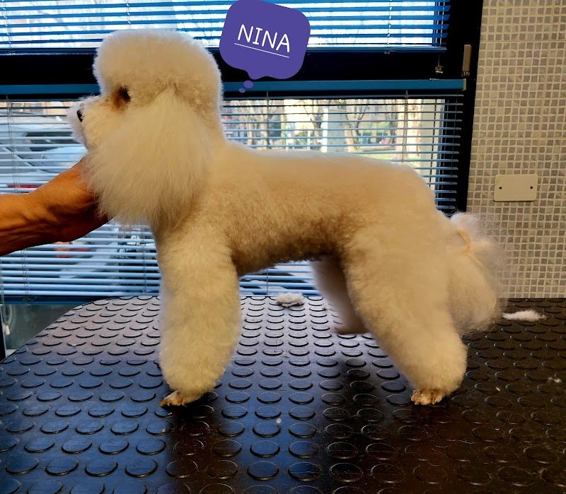 Ginetta E Beatrice S.A.S. Di Beatrice Orsatti - Foto 3