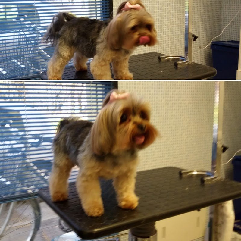 Ginetta E Beatrice S.A.S. Di Beatrice Orsatti - Foto 5