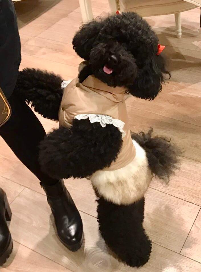 Ginetta E Beatrice S.A.S. Di Beatrice Orsatti - Foto 6