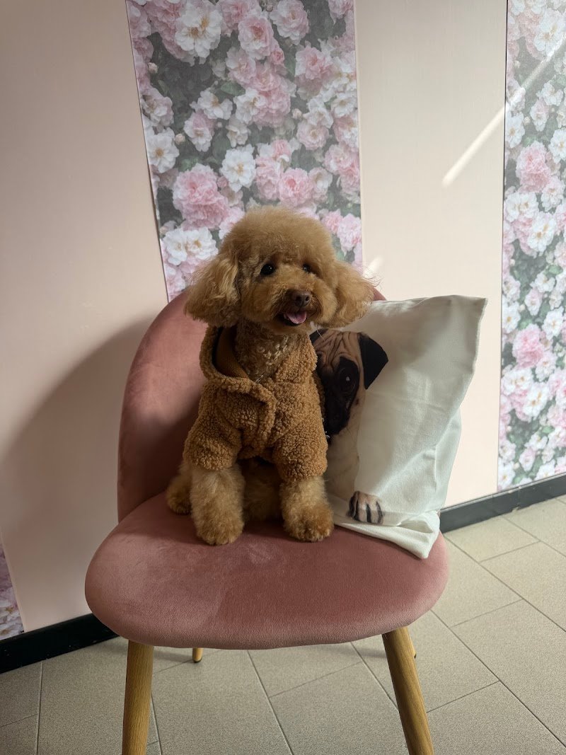 Gita & Siri Fashion Style - Foto 1