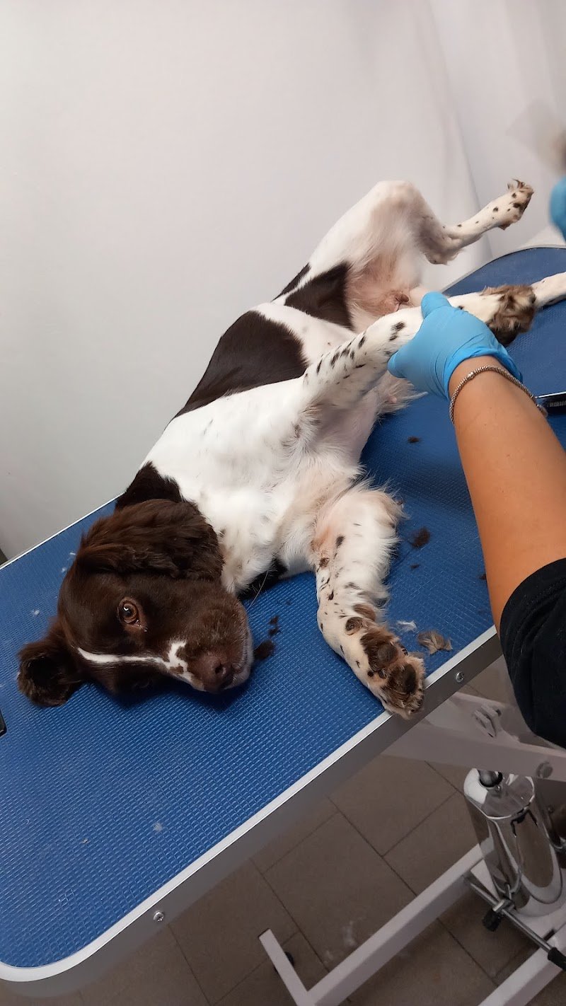 Gita & Siri Fashion Style - Foto 2